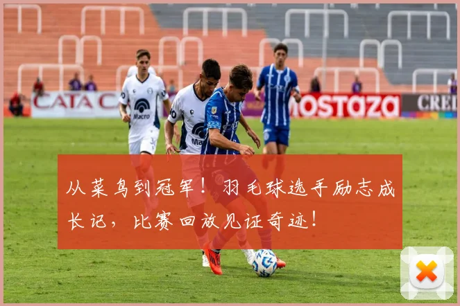 从菜鸟到冠军!羽毛球选手励志成长记,比赛回放见证奇迹!