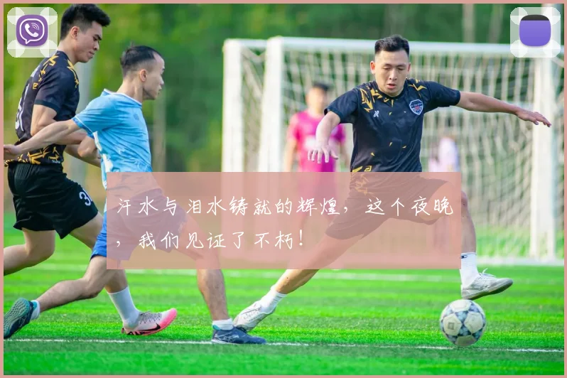 汗水与泪水铸就的辉煌,这个夜晚,我们见证了不朽!
